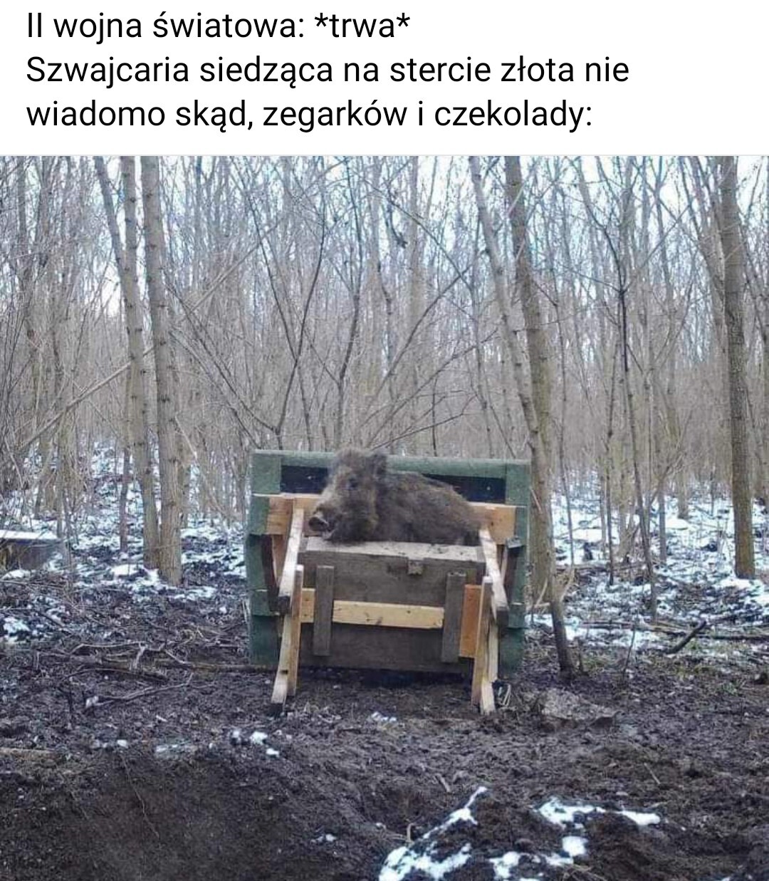 3b99ff99-f0a2-44e4-affc-48aa814622d5