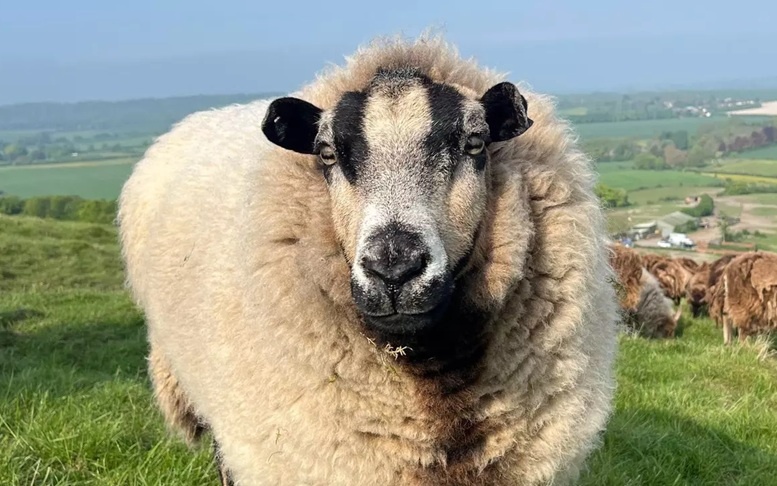 695a573a-da84-4603-8b83-7ba2936c8af0