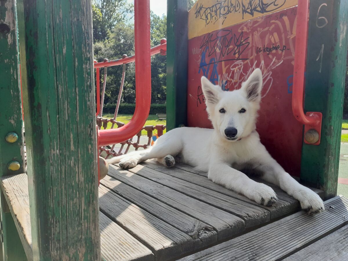 a24bc2c2-8e8e-4a2d-98d2-ce826633a709