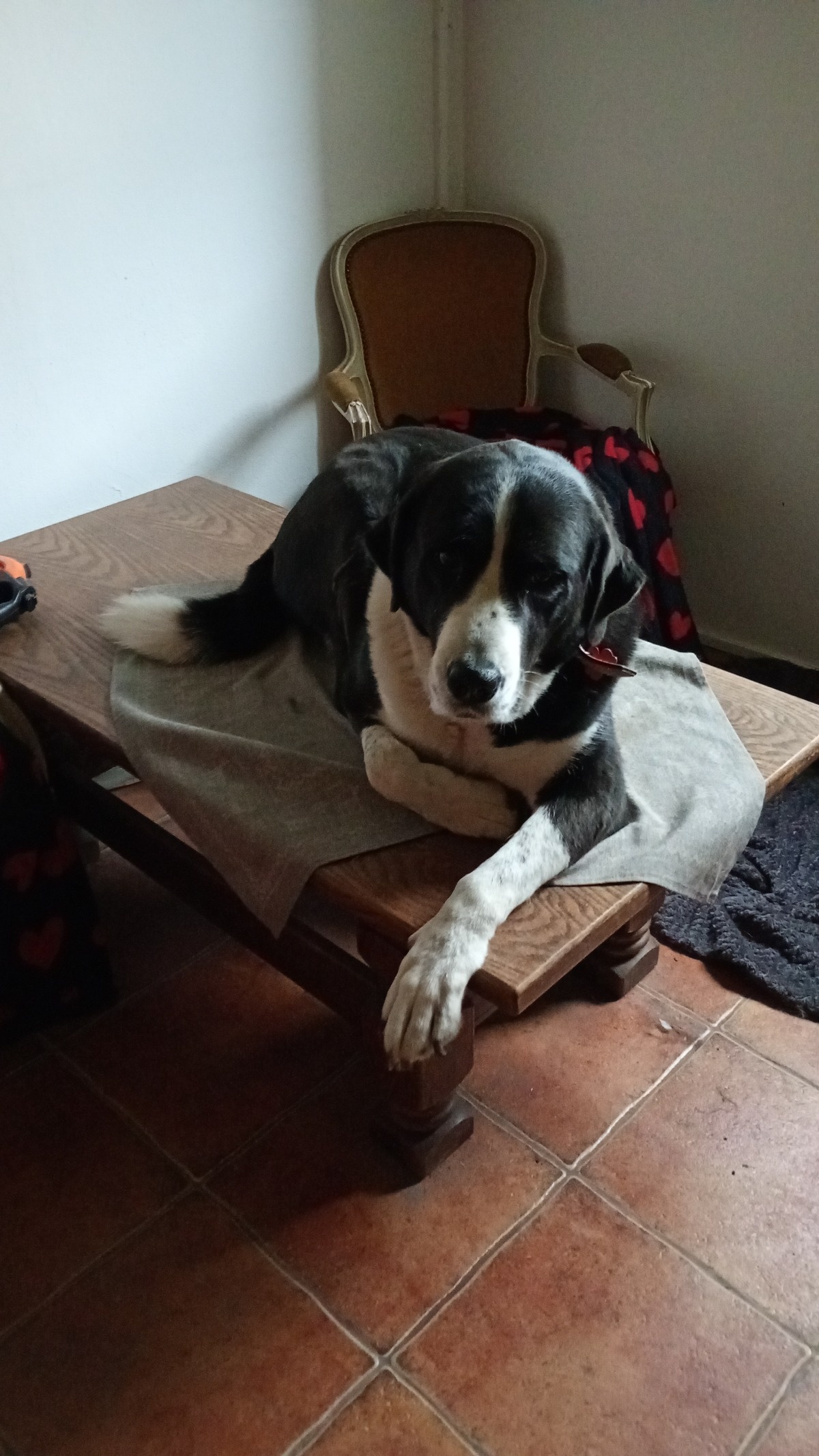 3653c2d2-018a-4349-adea-643be2a00909