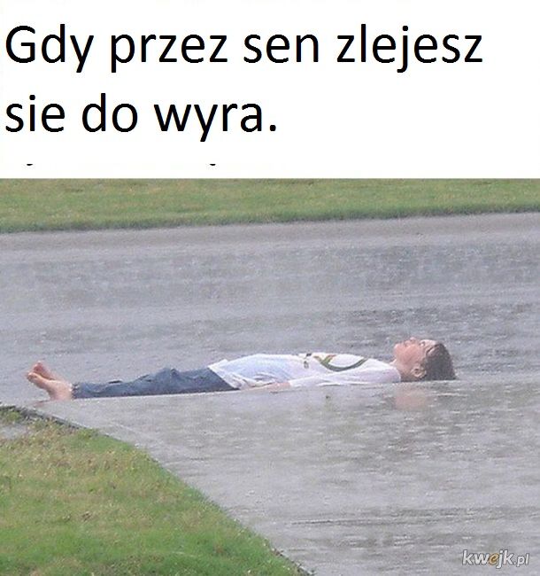 12fa63c1-7f5c-4185-9900-4160aee39a2d