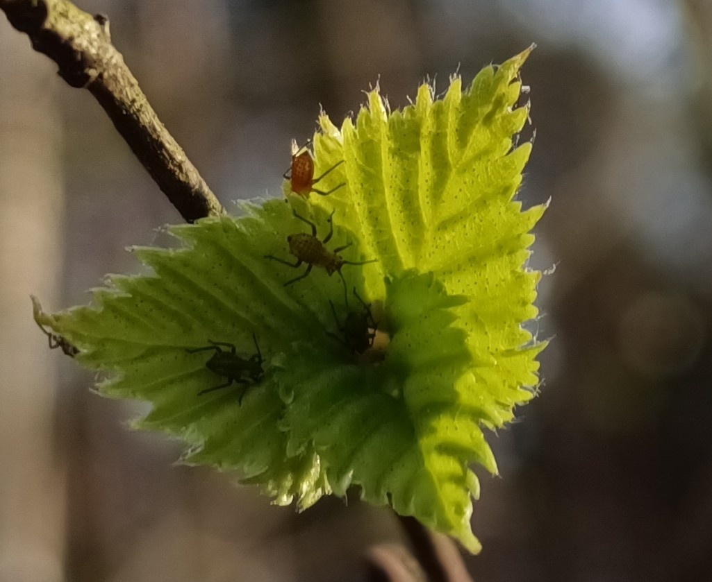 2b9234a2-2f01-4f09-a406-5f7c0e4313d9