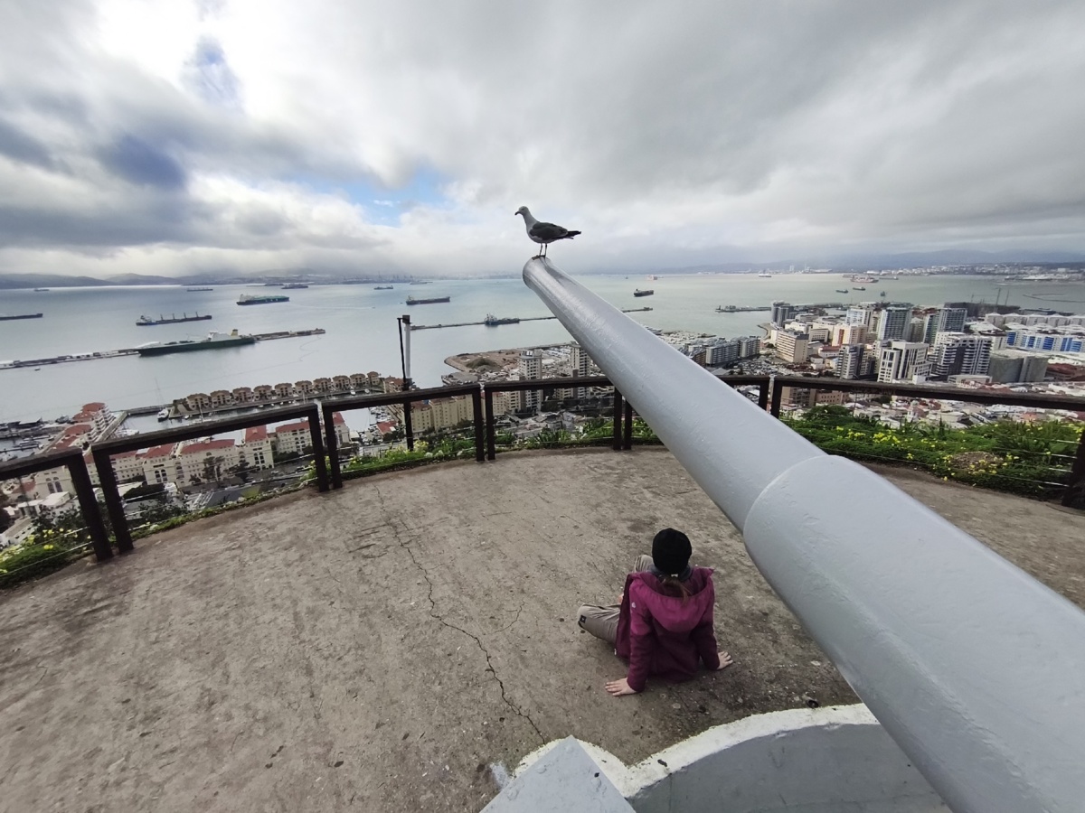 d1bd6c12-5e50-4754-a743-b891f111fe22