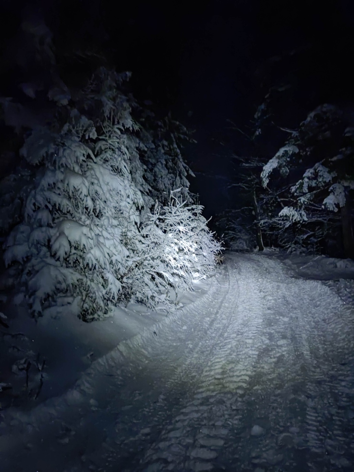 9e6848f1-e0e0-40a8-87a0-fa1618368566