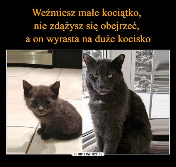 47cb3095-4d1c-4074-8c2e-cd0ec70e544c