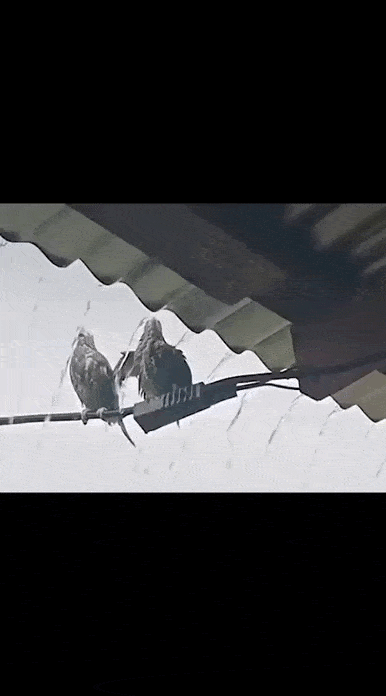 325a16ff-7e74-43e6-a4a1-559e5b7271b2