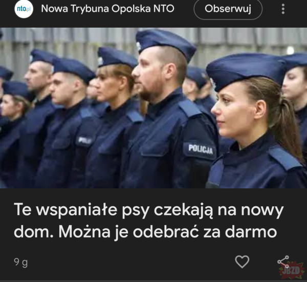 24a8d37a-1f74-4295-800f-c02c5944e4a9