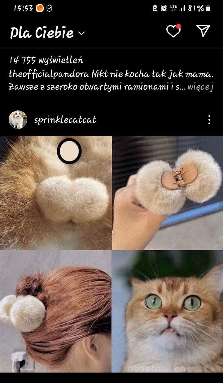 28b2c64a-1cfc-469d-9f59-a445b9e0f71f