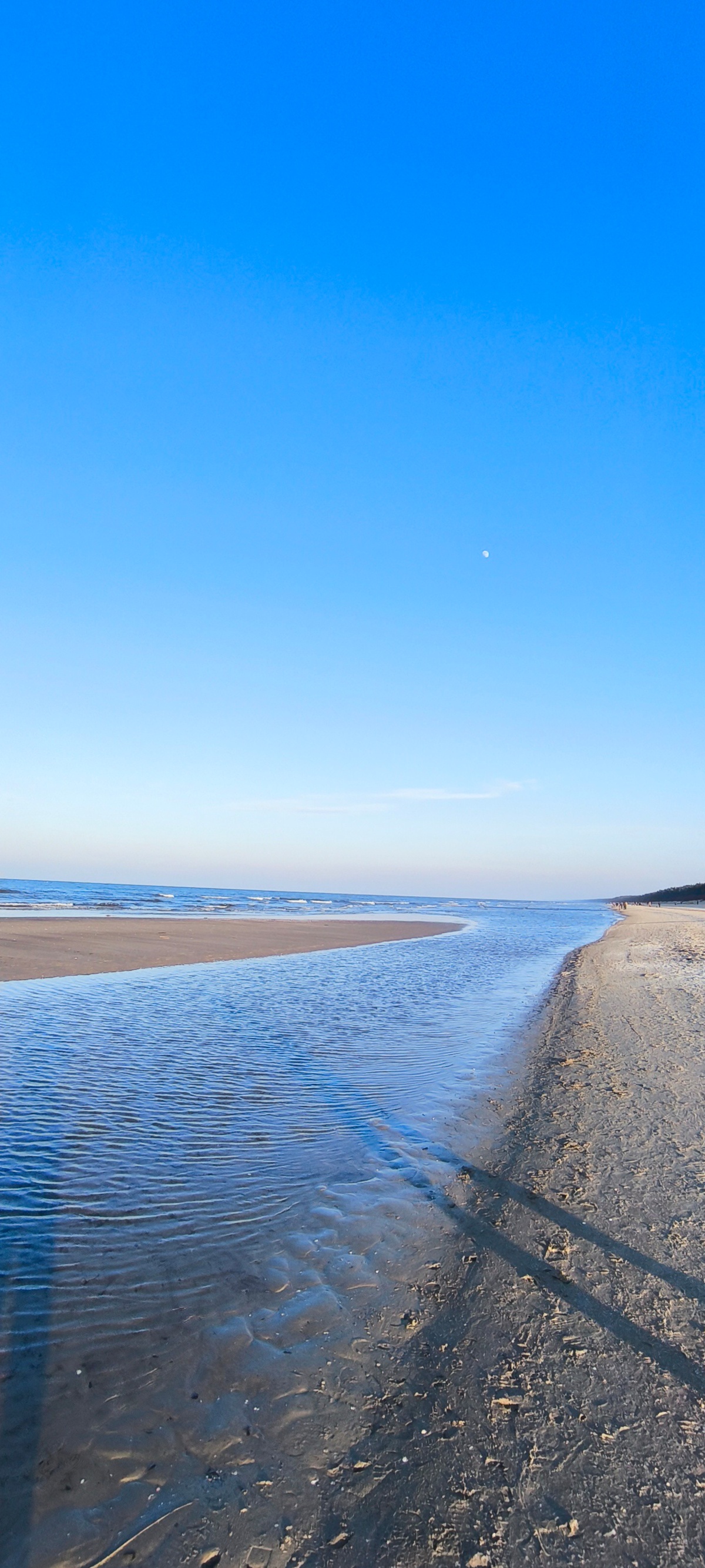 f03876f3-1ebc-41ea-89e0-6eab66542c30