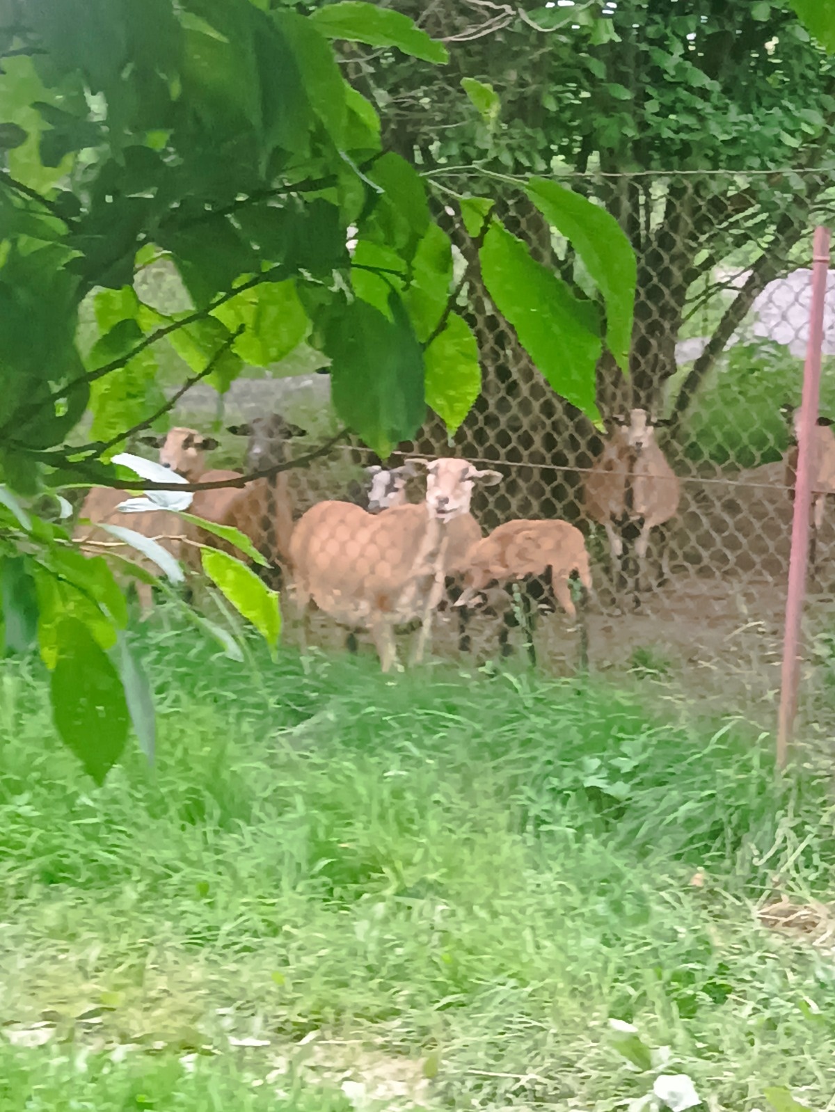 bf80c760-3a95-4721-828f-b71a325e2a70