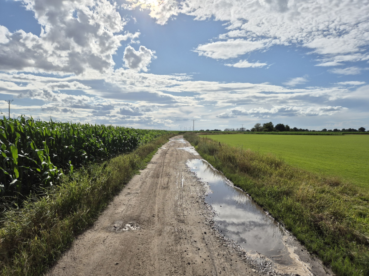 ed73a355-bd91-4165-97c9-826b5f3ea285