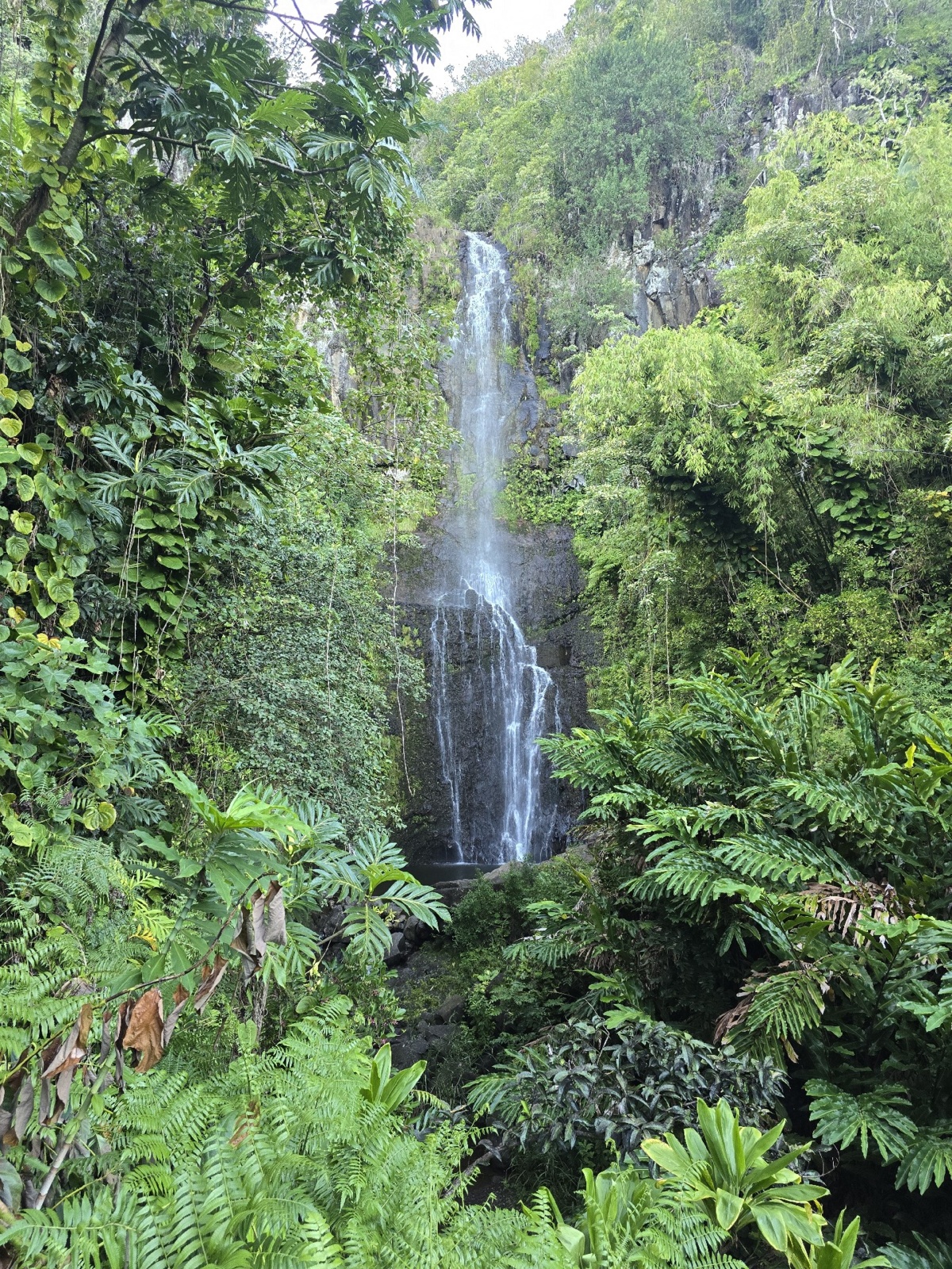 ffe49760-d98d-408a-af36-fbd9c19a384f