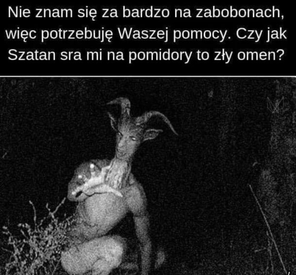 6a10f084-4df2-46b2-b96f-15af1a3a41a2