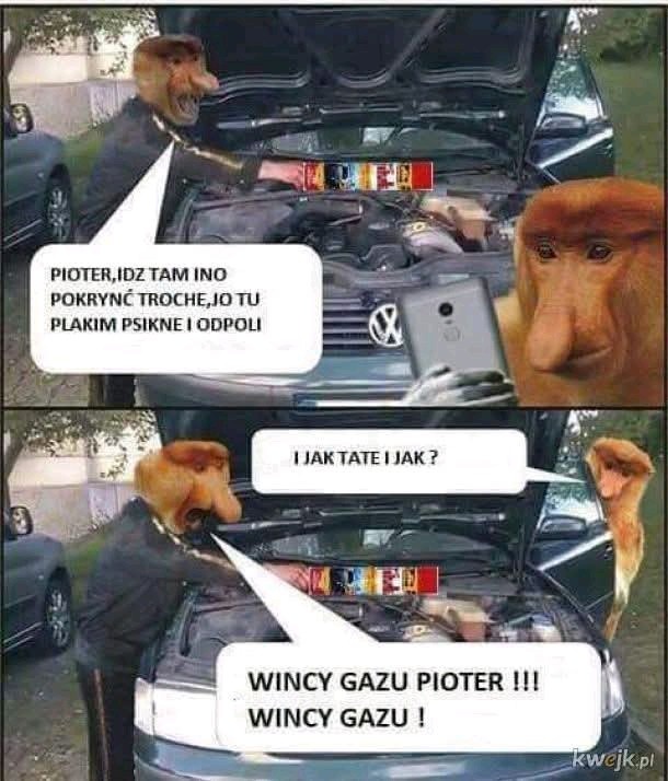 2675c7ed-31d9-4f84-bcf3-689163fdaded