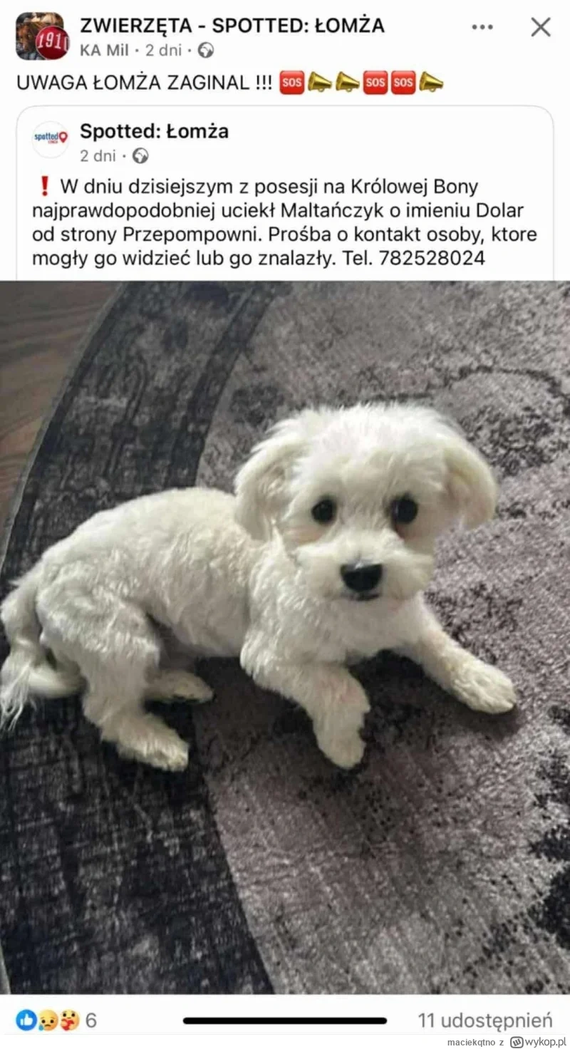 6af8fc03-e1b9-4acc-8648-c3a2d56ed05c