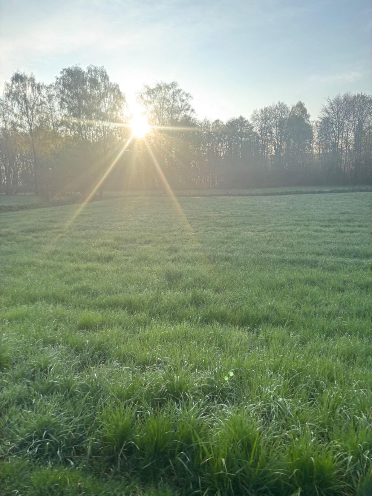 56fd50ac-4b2c-466e-a6ce-7f2e60d74660