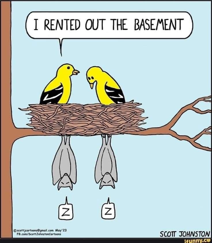 3138d6a1-7f50-47d2-a947-1b2ff6e3e41d