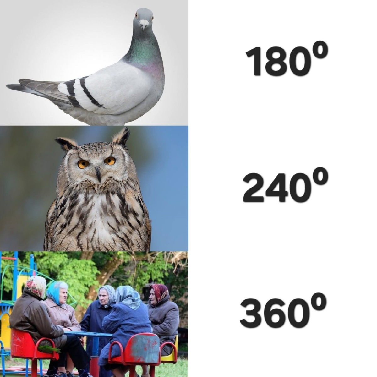 ee9b7637-92cb-4f62-9907-ea6b6a5a08b3