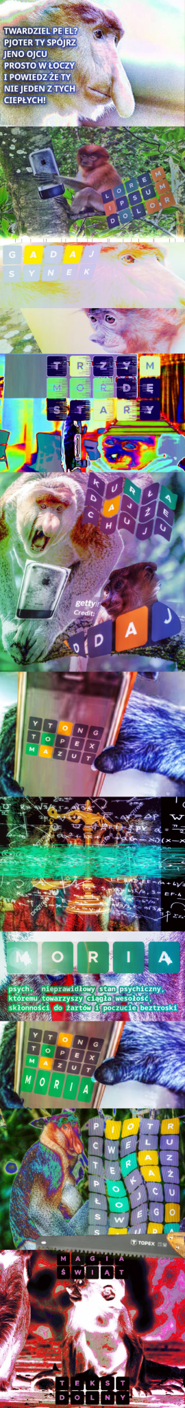 93ec0c8c-31d6-48f1-8e48-ee901ed0c95f