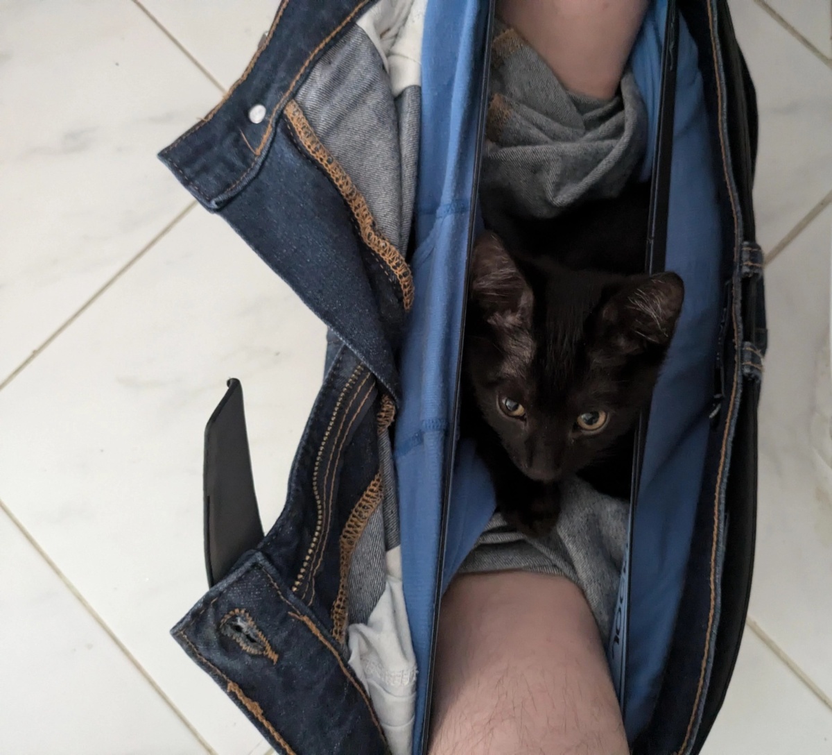 f3976458-3a23-4503-a0c2-17ce21452415