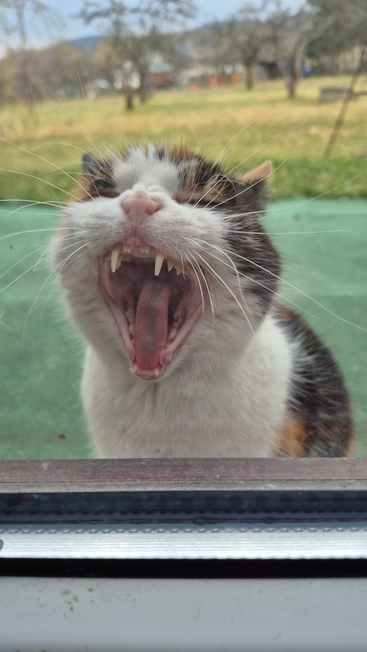 ad287c22-148a-41bd-a494-4cb58fea9b84