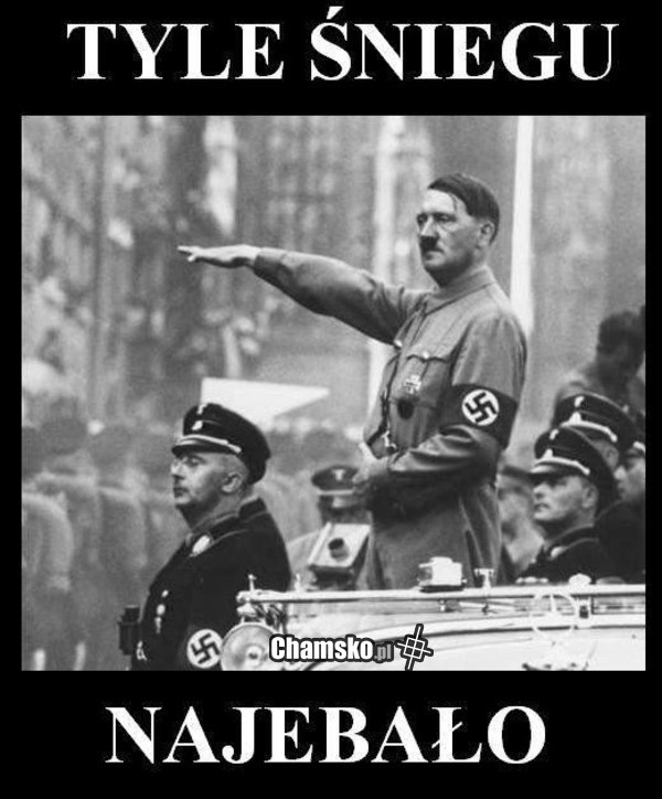 643f9cf4-b7d0-4064-b711-c349920bb1ac