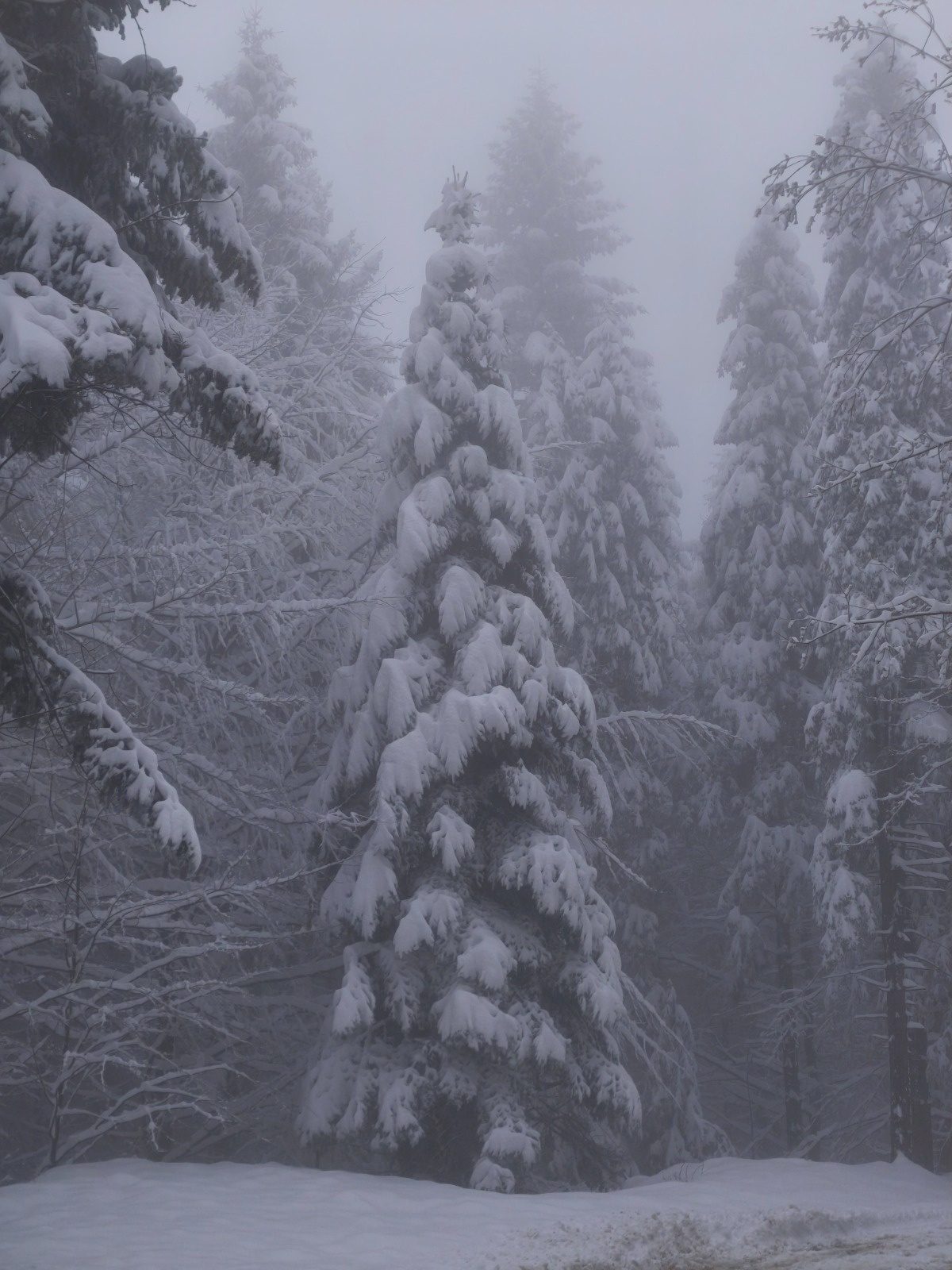 30a8a61d-f0d1-4a52-a8df-958e82cbb1ca