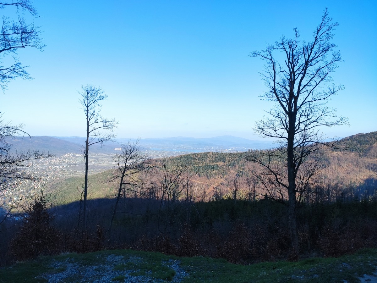 4a8b8fb0-18ae-41b0-9ec3-4401204fa23b