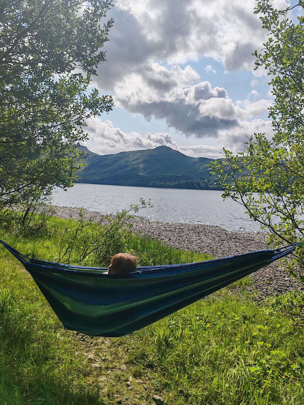 79a81558-ca71-42e7-a566-61c6d698ce36