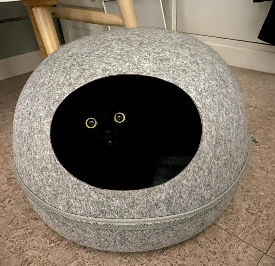 dd07a903-1bc4-4dd6-b362-459e5f6e6e93