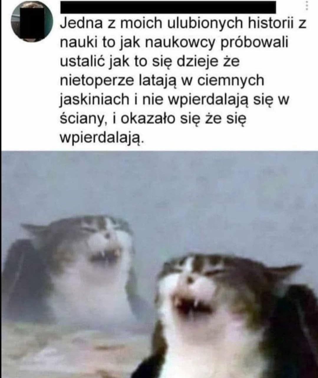 eccf28be-7b36-4b9d-95d9-e7663e4a05ae