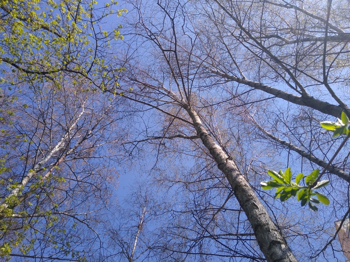 12d4bbcd-16df-4cab-ad40-e67993c54a82