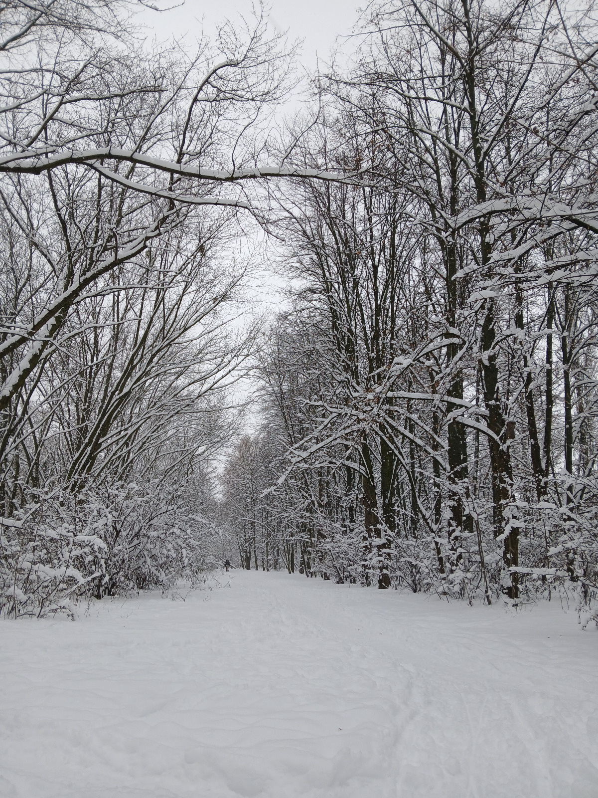 01aea41c-6a3f-42f3-b1f3-eef7796b0eef