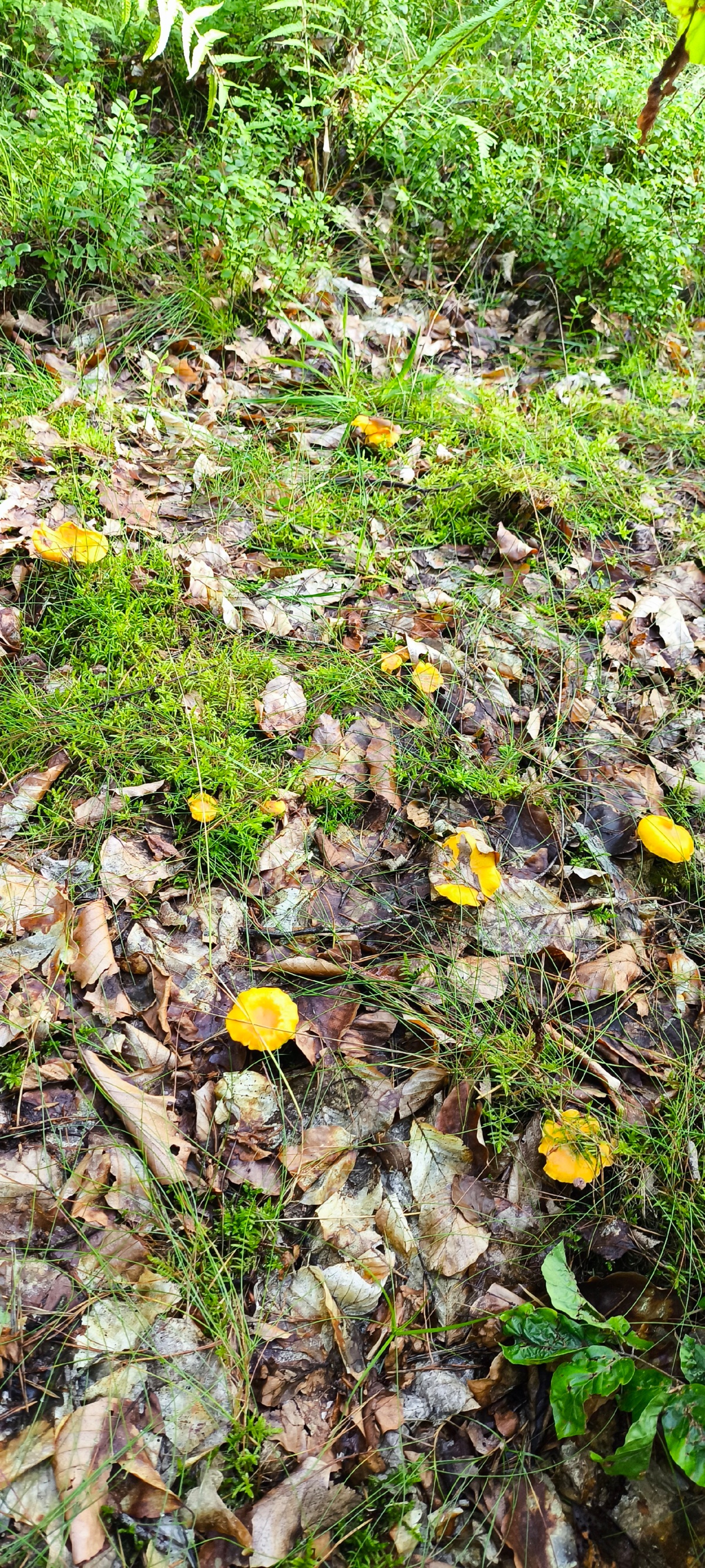 70c42e3b-bf8d-4da1-aacd-32ed4976df79