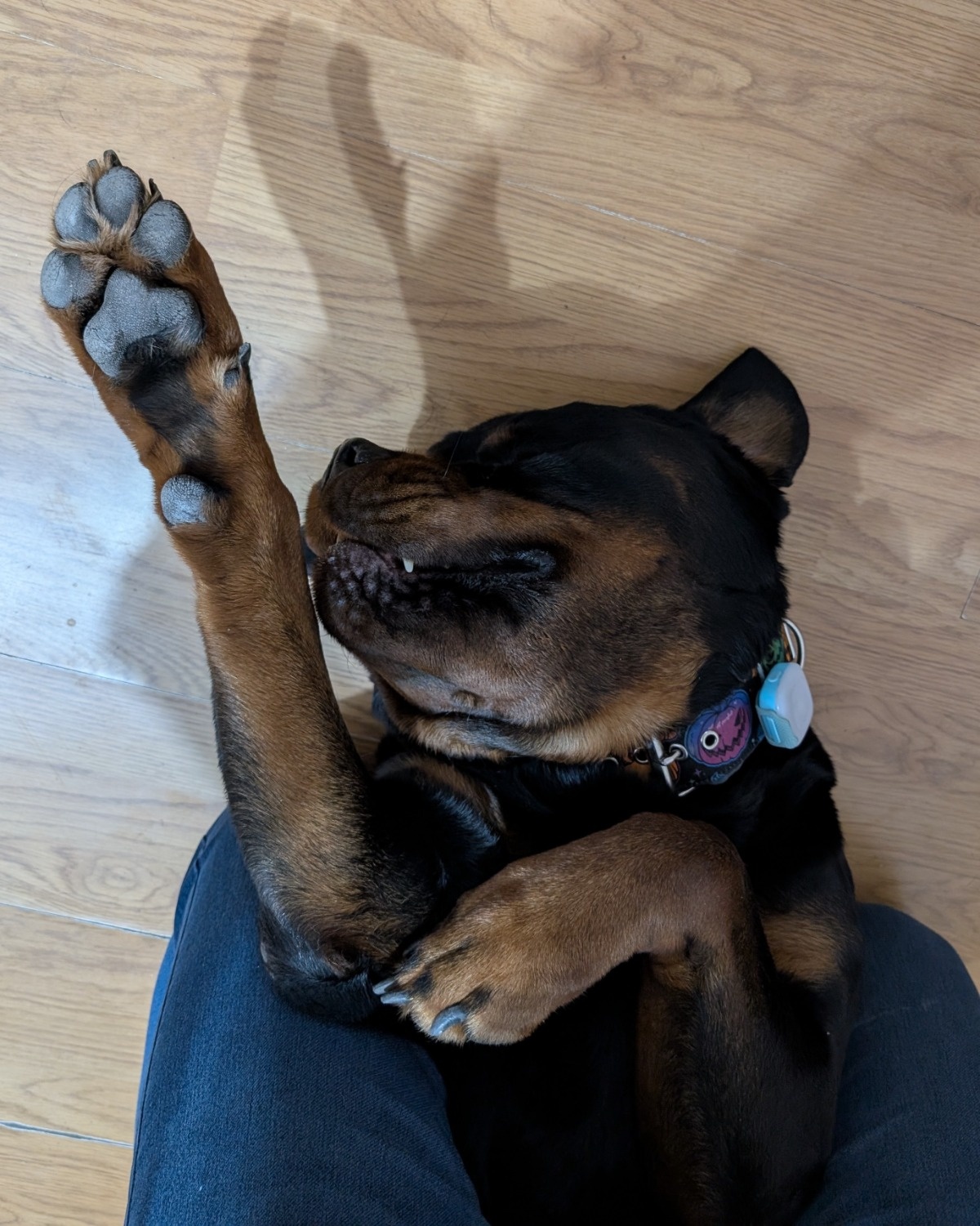 932419b9-c9de-432d-bb9e-2317de512839