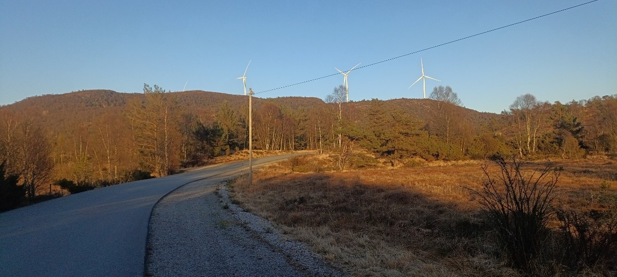 f58d259f-2591-4e8c-be76-44db981cbcf2