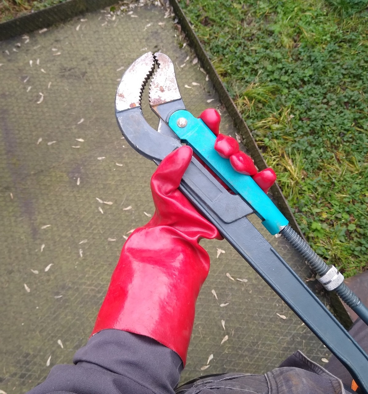 4d66a897-fef3-4640-b82d-6c8464bcf0d3