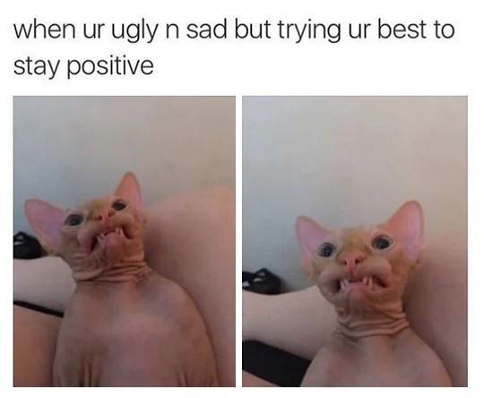 76679357-3235-479e-8ce8-ae23c29d2caa