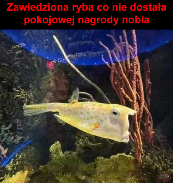 d461304f-e71d-4d99-a59a-3ea2ec79bce4