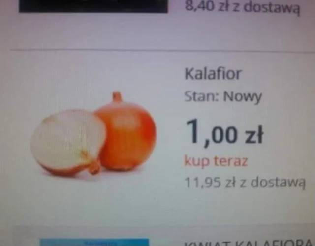 b904fb8c-da3c-408e-8c43-3989e2450b7a