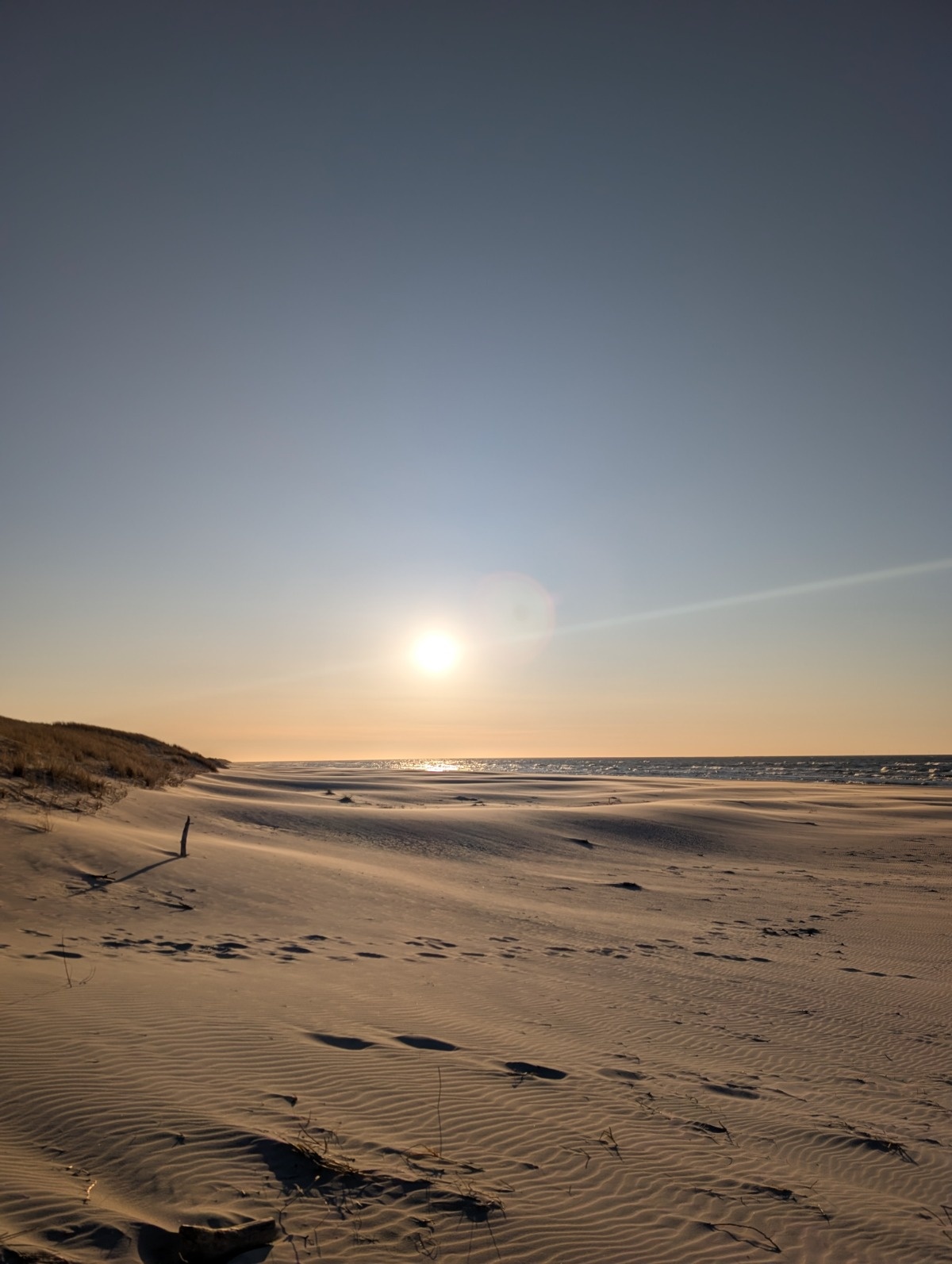 cc70ccbc-b6f0-44a8-b396-f9dcb5814b01