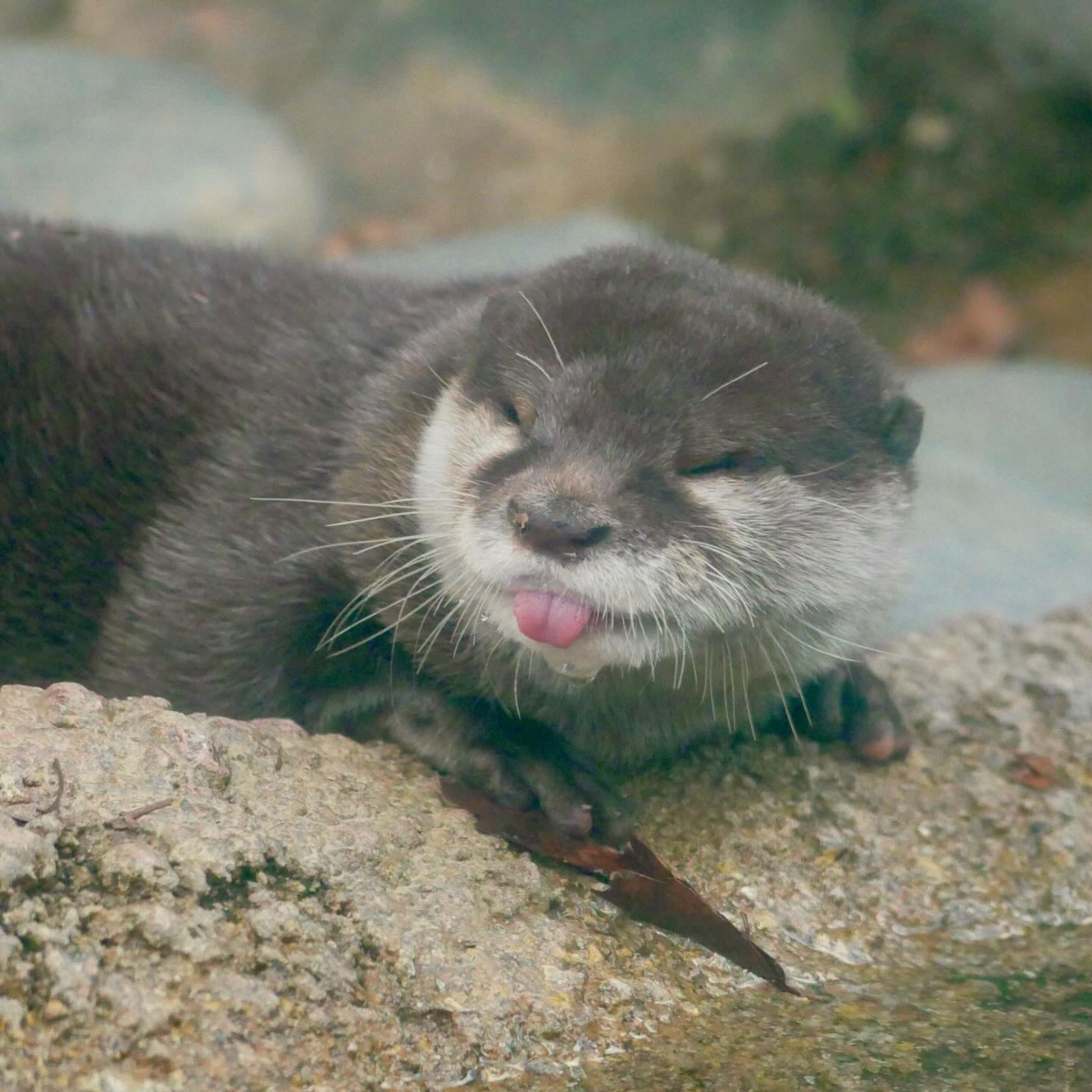 39fc4c53-8d37-4bee-b043-6303f4305b3d