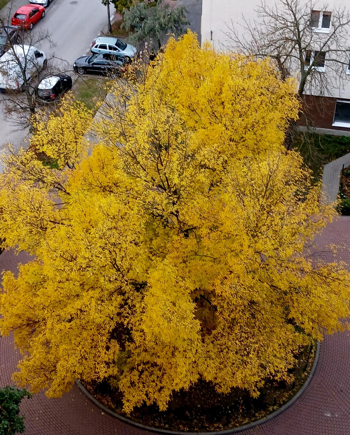 8f57a683-eea4-4ce9-90e4-1569f0f92a29