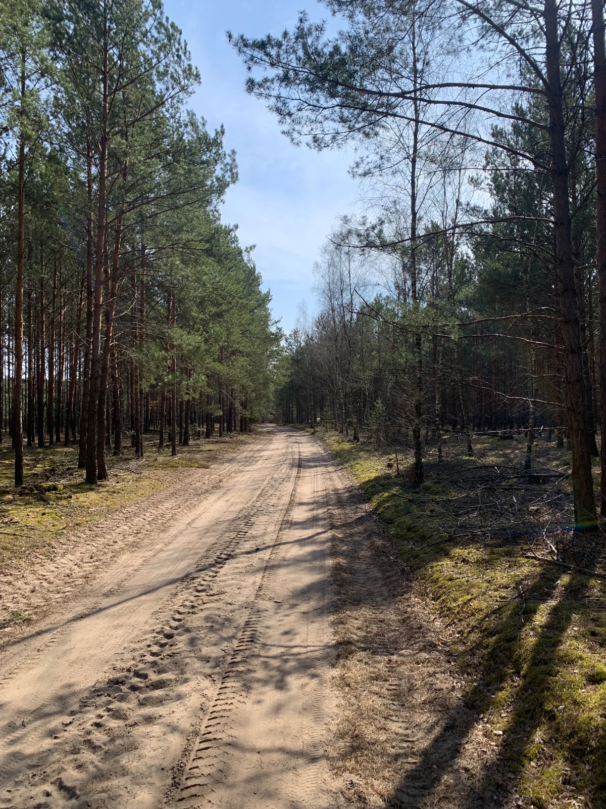 26e1dce5-2672-4039-b619-aaa2c5d4846b