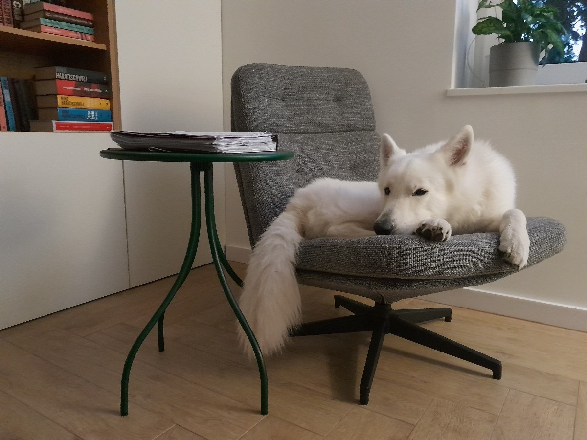 5b1dca97-a3ef-4e35-8fa8-b75b21b9b543