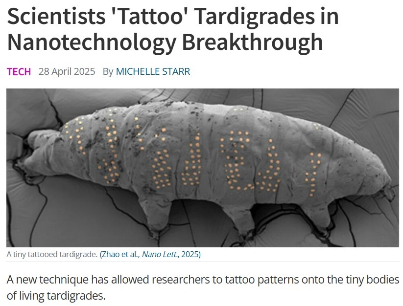 ec1f65ab-28b2-4558-9bb9-a520752ccf20