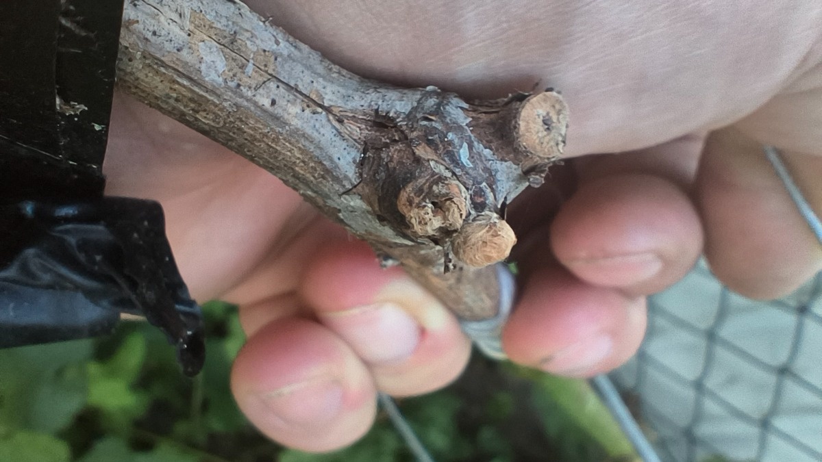 a3c6f07b-a9eb-4e61-8809-18960d347c96