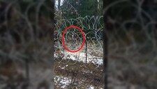 Kryzys migracyjny. Kolejna grupa migrantów forsowała granicę. Rzucali w mundurowych kamieniami
