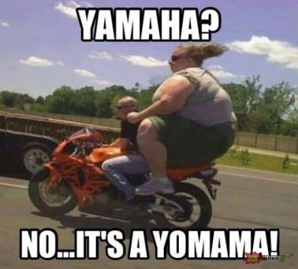 01081e62-024f-41ef-967f-c8b8b102140f