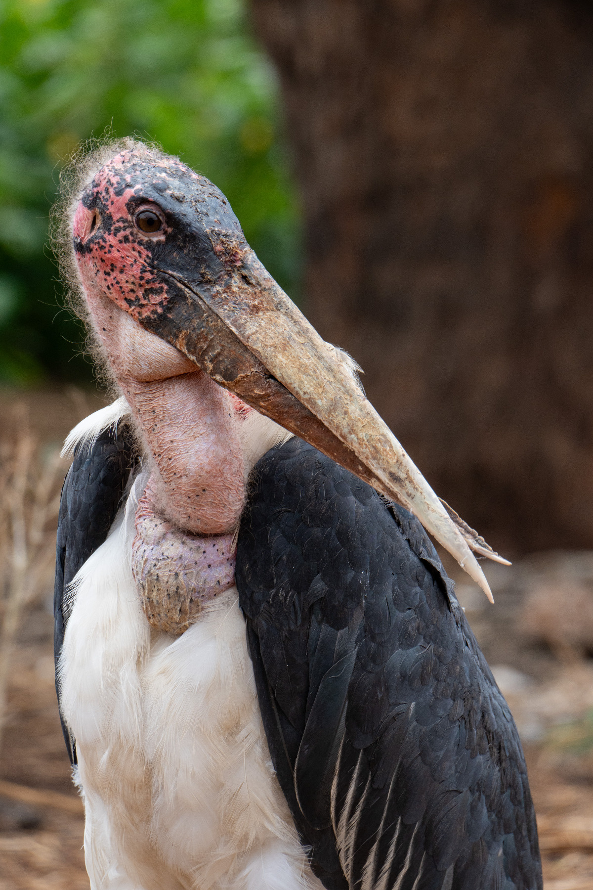 06cbe9b5-be37-4c45-8d19-d8bac5bebdd2